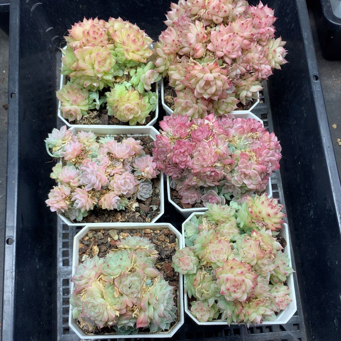 1208-201 套餐一组