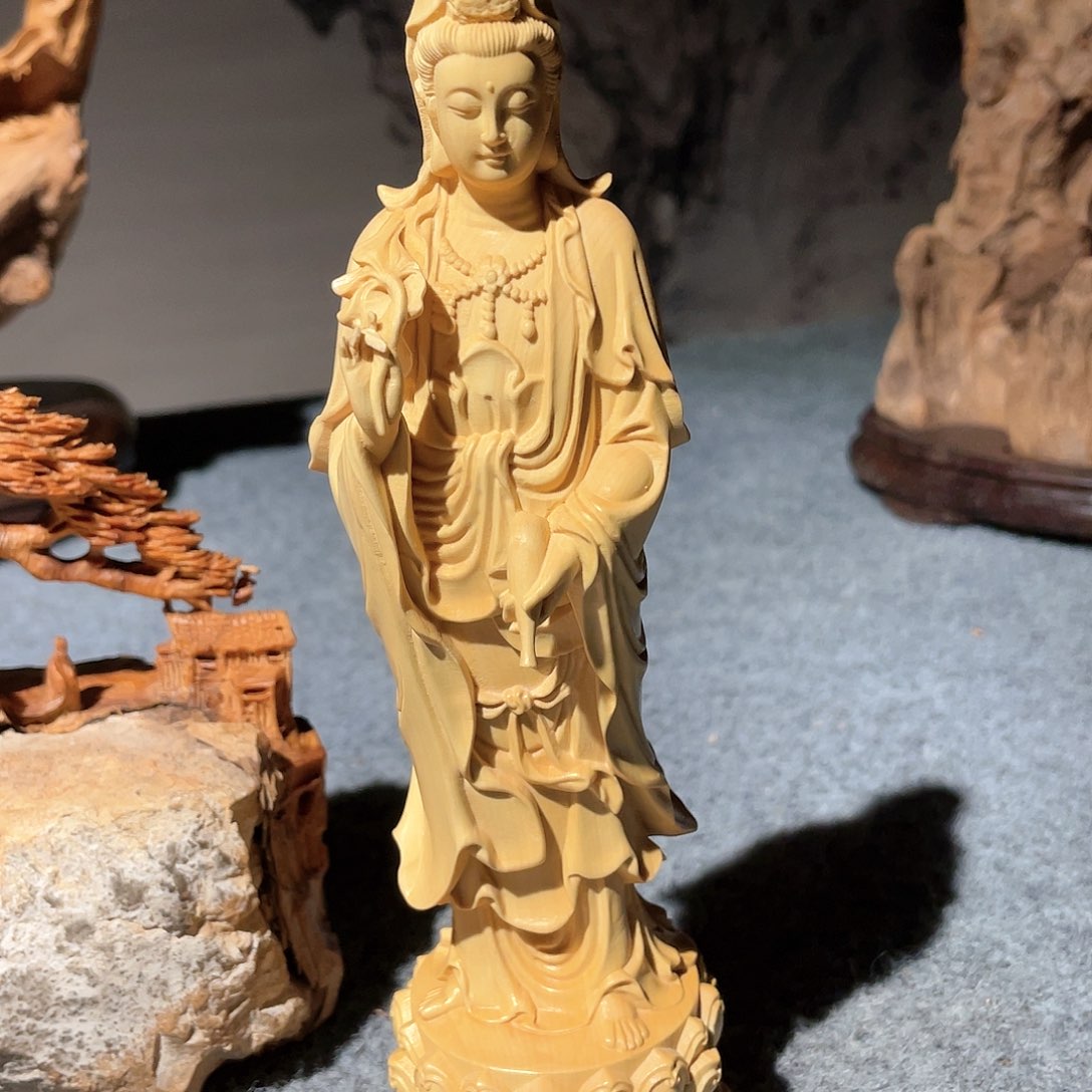 黄杨木小叶黄杨木