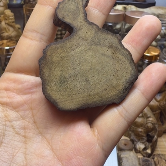 沉香碎屑沉香柬埔寨 11 克