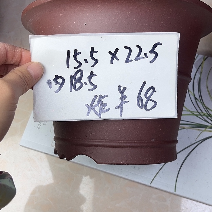 花盆紫砂9888888888888888855