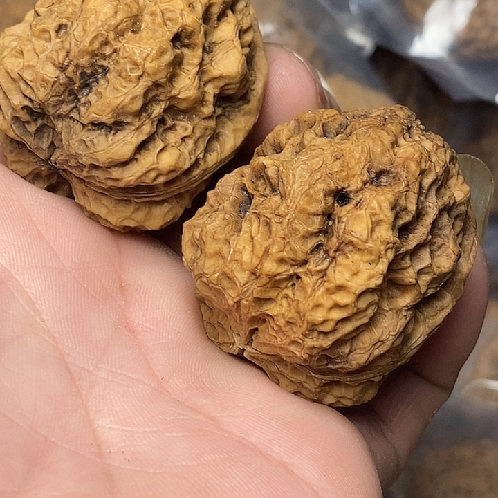 文玩核桃把件志成云铁文玩36