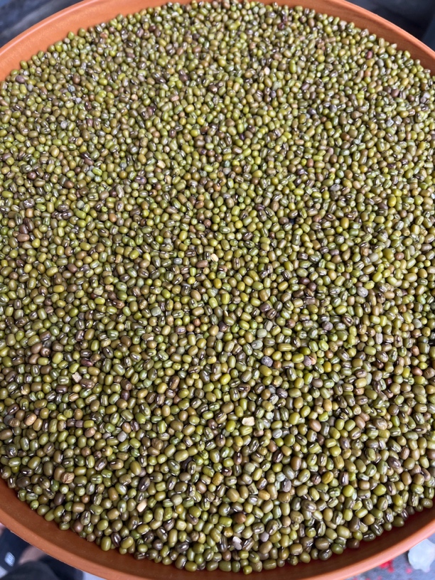 山里土特产 绿豆500克