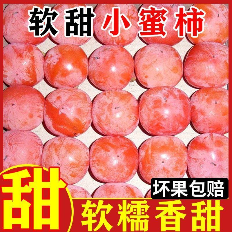 陕西火晶柿子新鲜采摘应季水果30枚单果25-35g甜软小蜜柿k