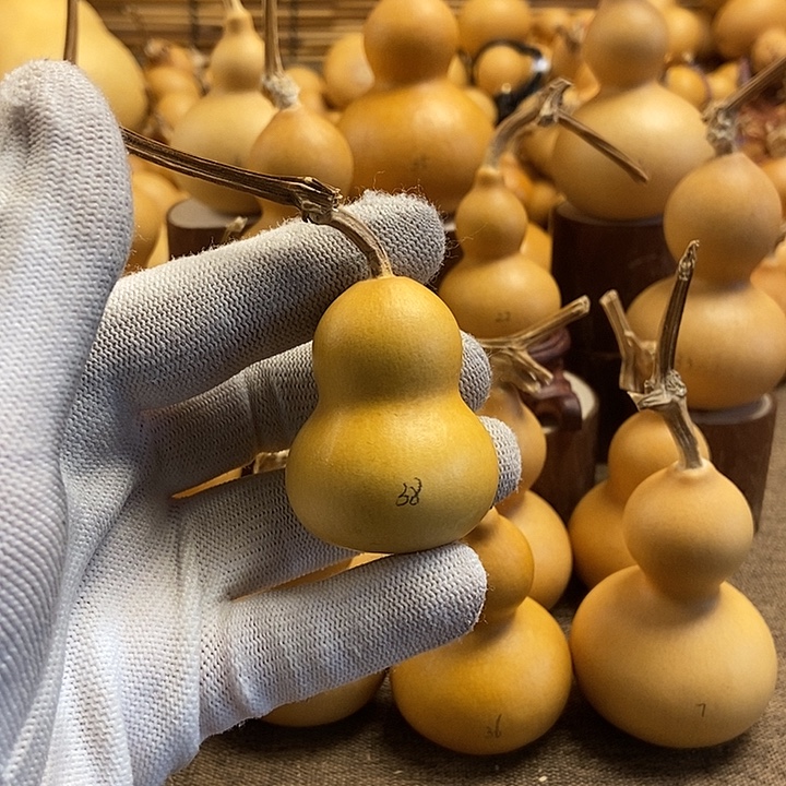 文玩葫芦 完美主义者 慎拍38