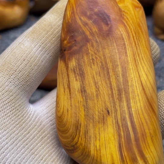 柏木（崖柏）崖柏79