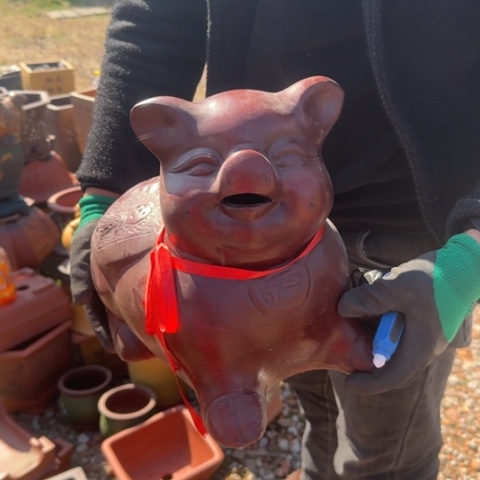 紫砂花盆紫砂花盆盆景盆栽