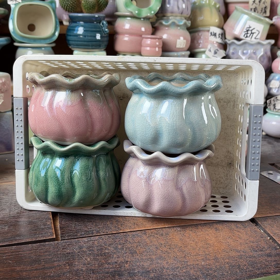 量货/8口高8深浅搭配发4