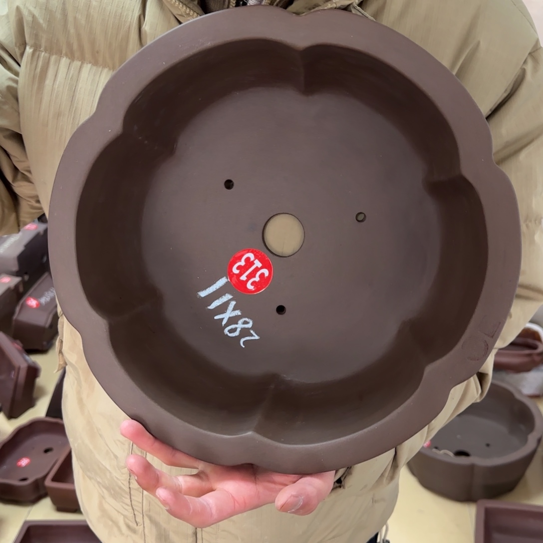 紫砂花盆呜呜呜呜