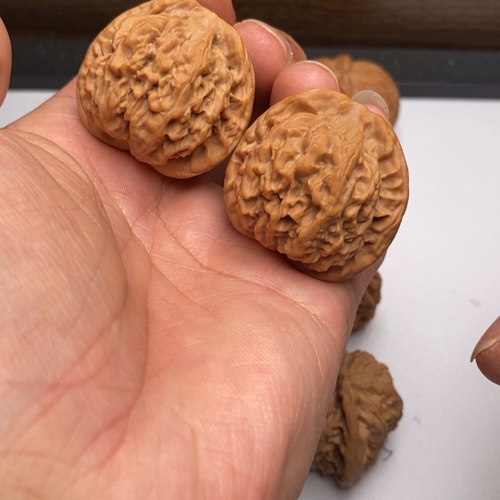 秦公子狮子头37尺寸