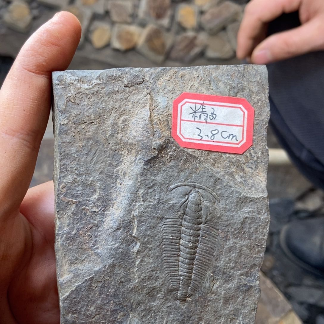 木***之石材1111111111111