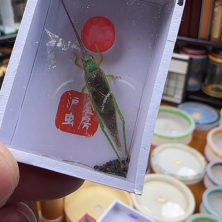 小***尤我们的确是一个很好的朋友啊