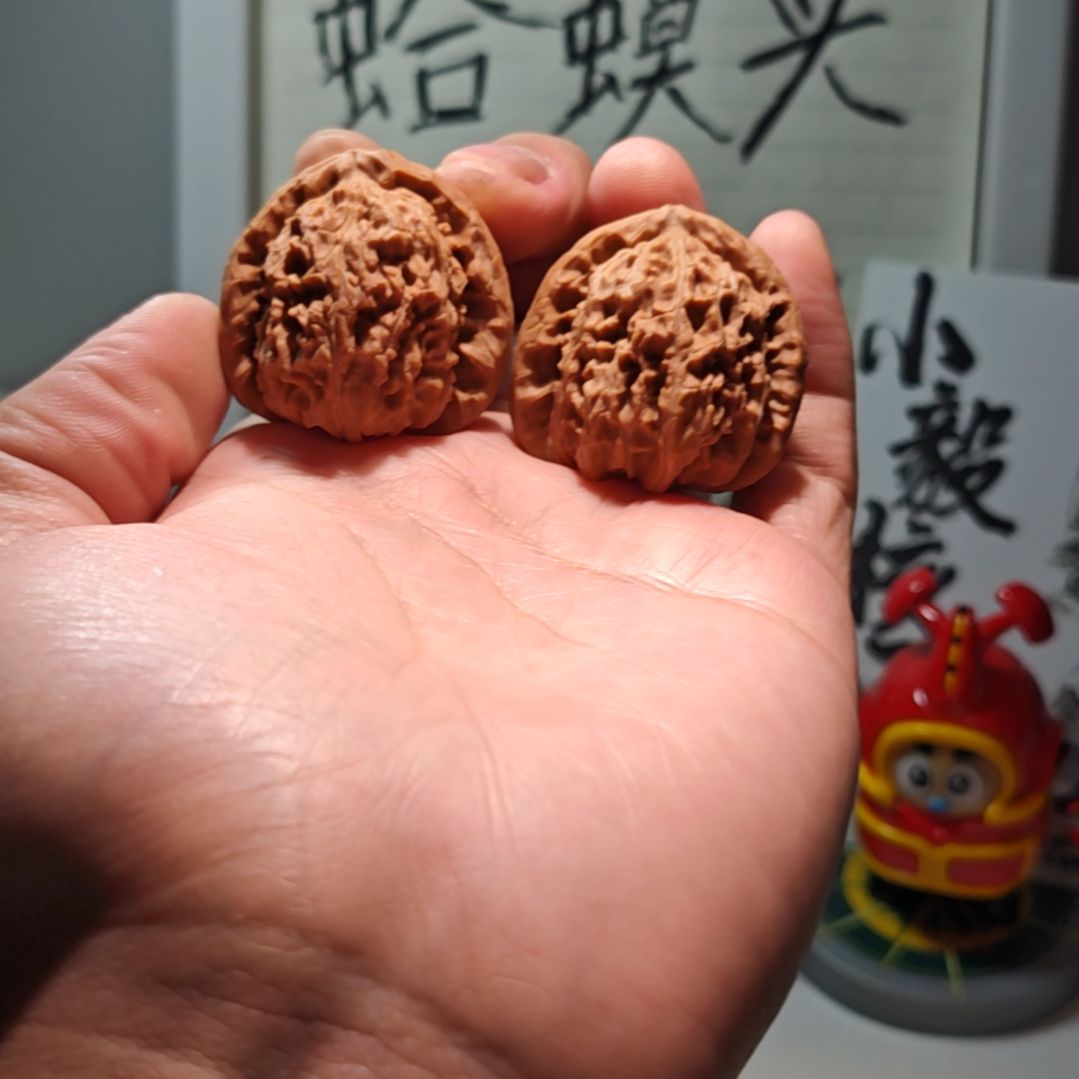 ****嗷核桃手串/手链福利白狮子111