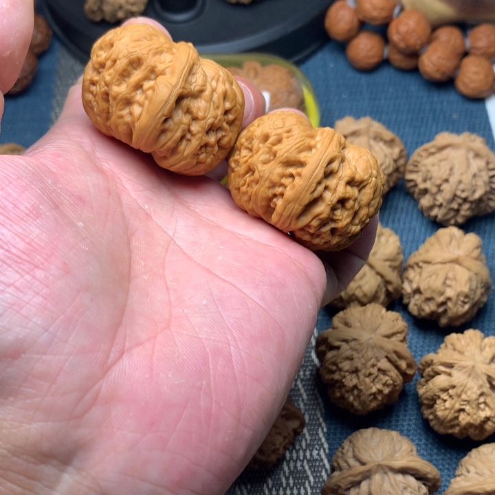 核桃手串/手链44元宝