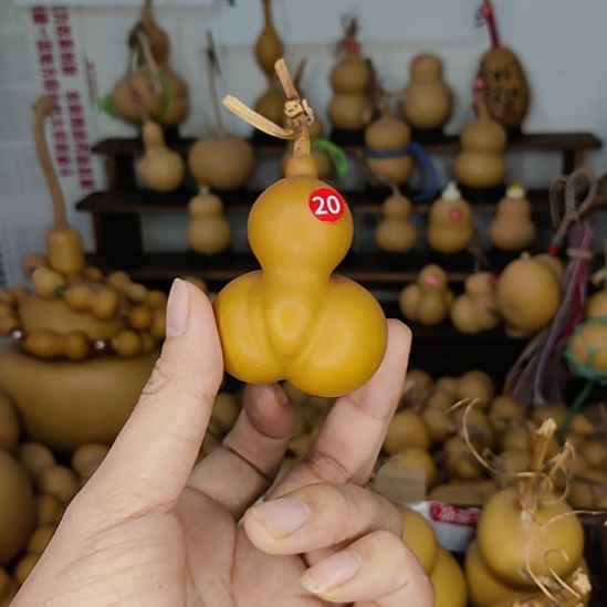 小葫芦金蚕拍拍拍