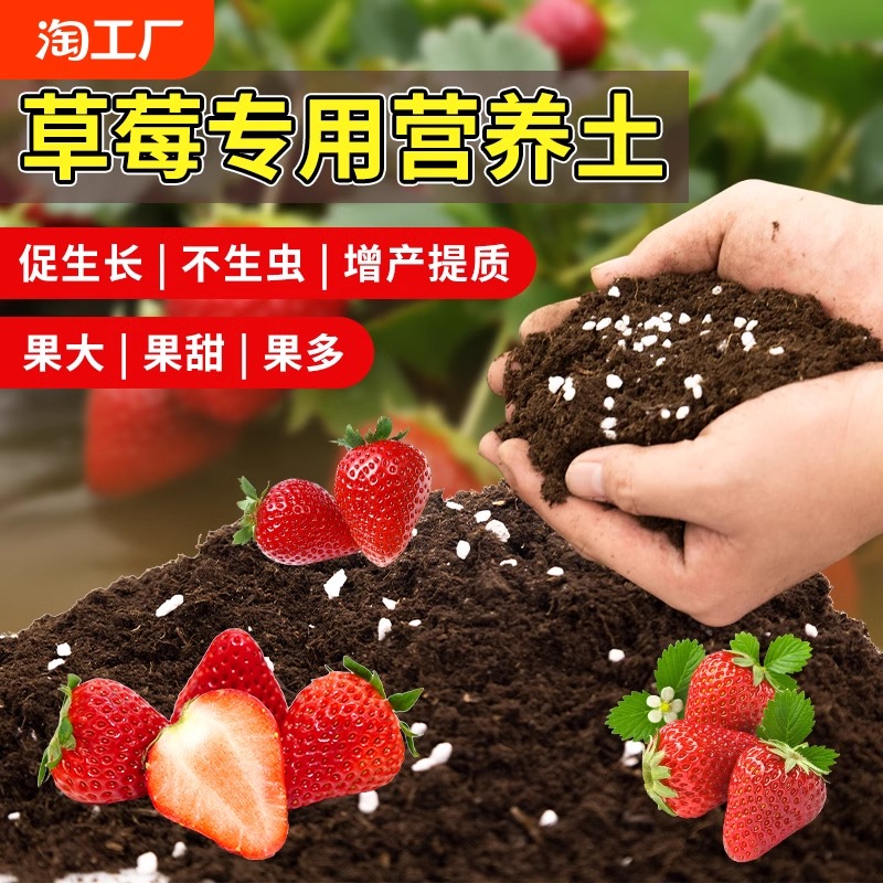 草莓专用营养土5斤