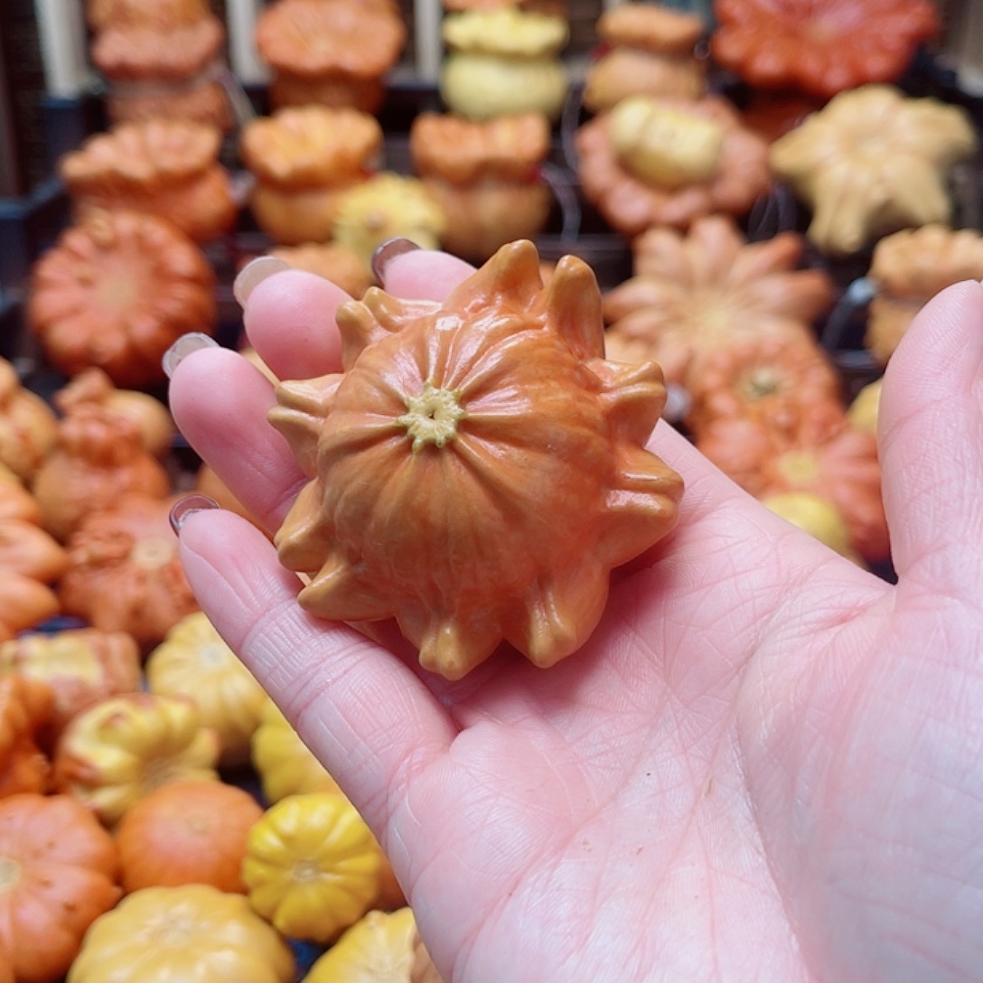 乐***阳大叶紫檀（黑酸枝木类）