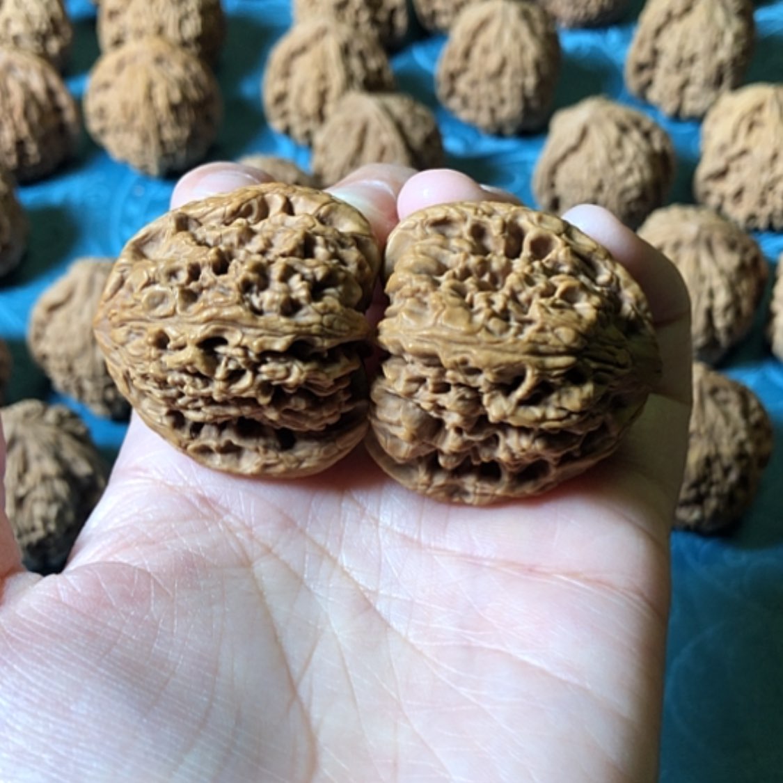 【闪购商品】文玩核桃把件一代将