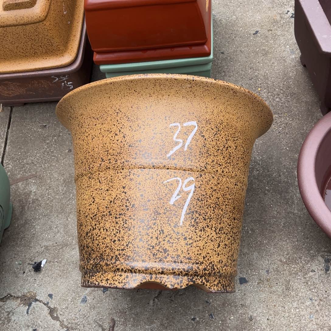 紫砂花盆盆景艺术