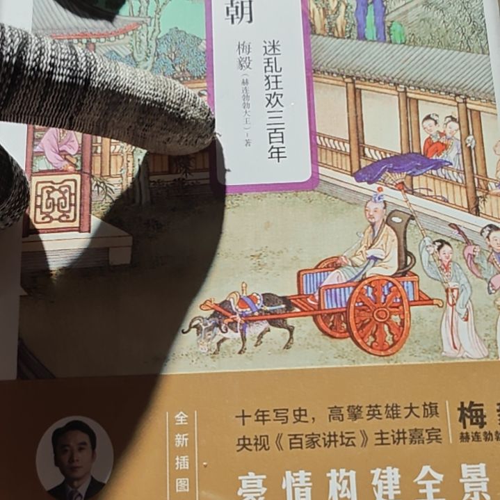 梅毅的两晋南北朝精装塑封库存书