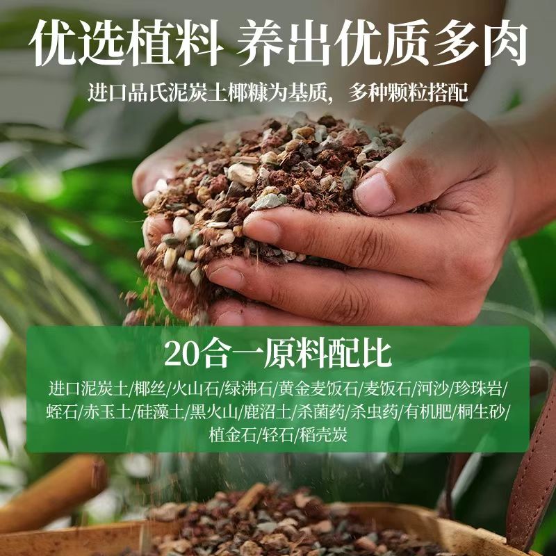 精品多肉       种植土