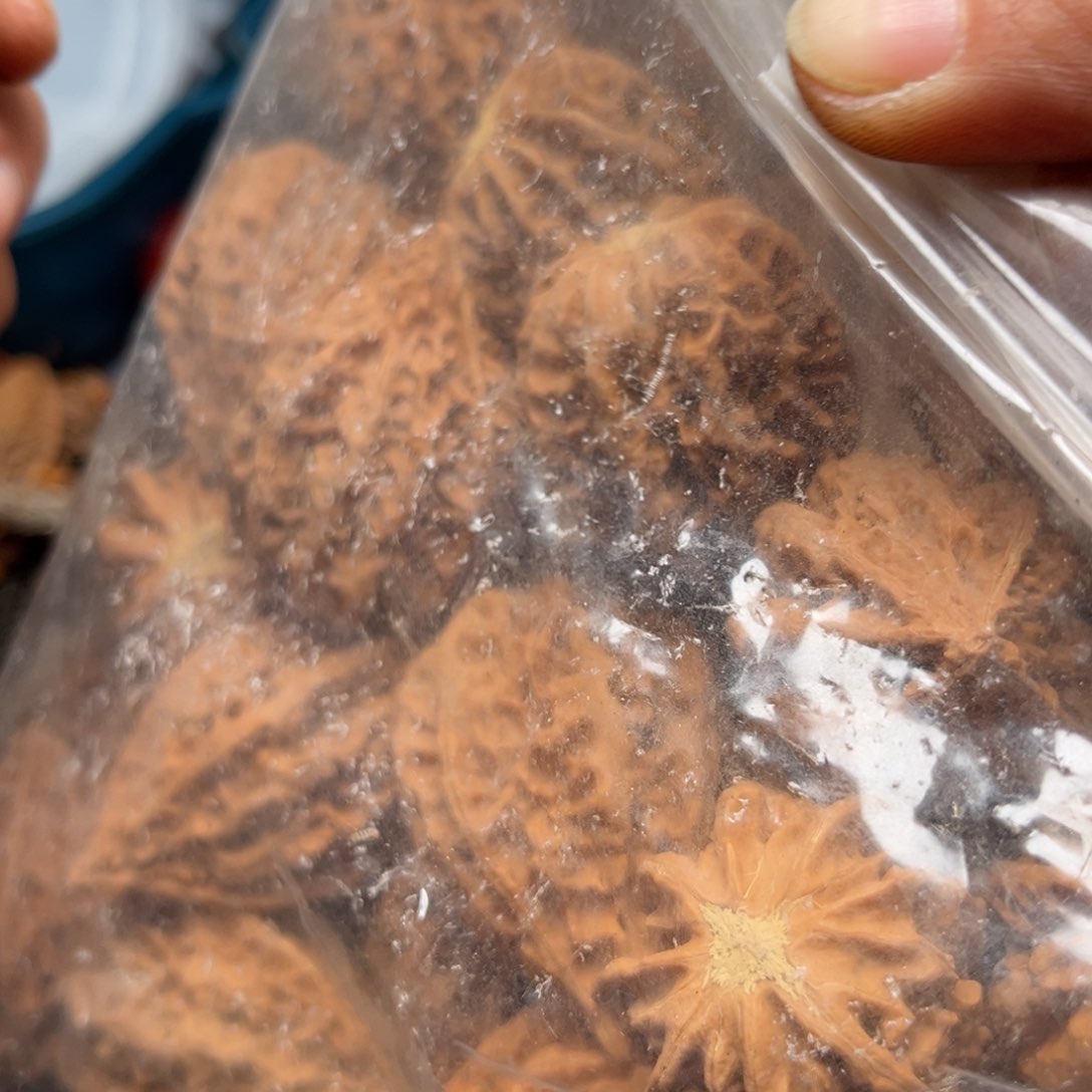 吊坠文玩核桃核桃56