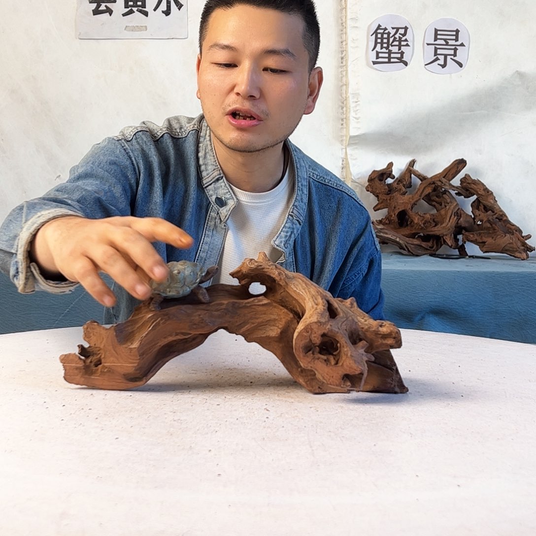 沉木造景爬宠造景