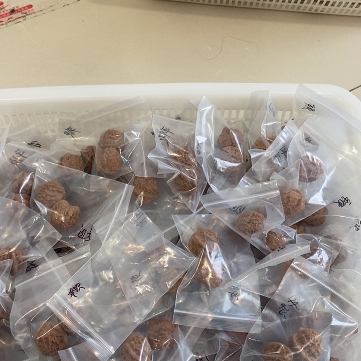 吊坠文玩核桃平顶