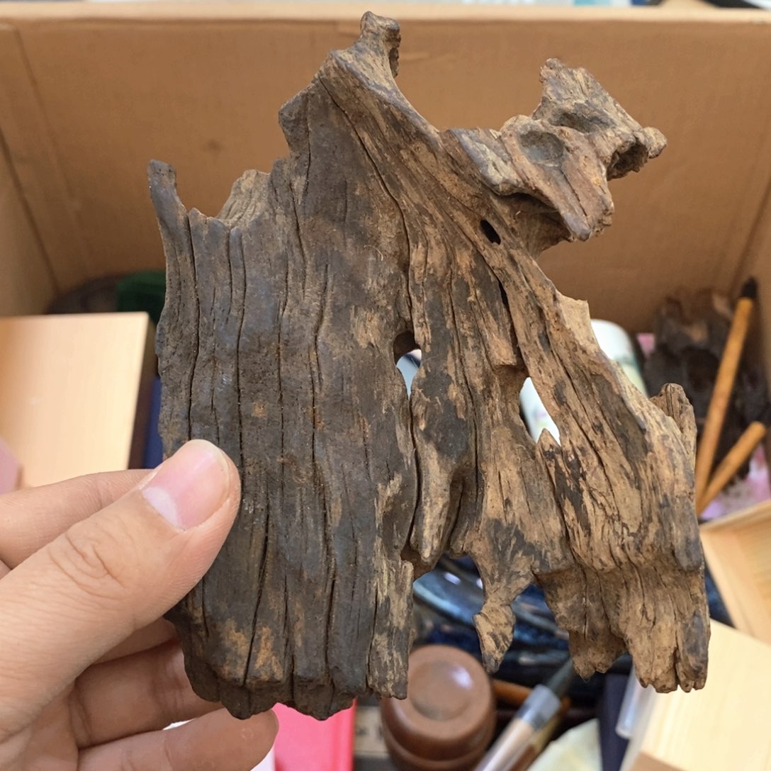 瓷片哈哈哈哈哈哈哈哈哈哈哈