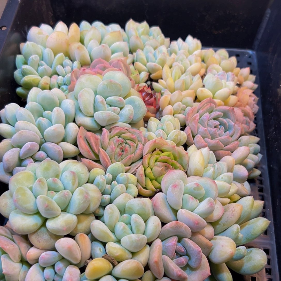 191的人了吧哈哈哈哈哈哈哈哈哈