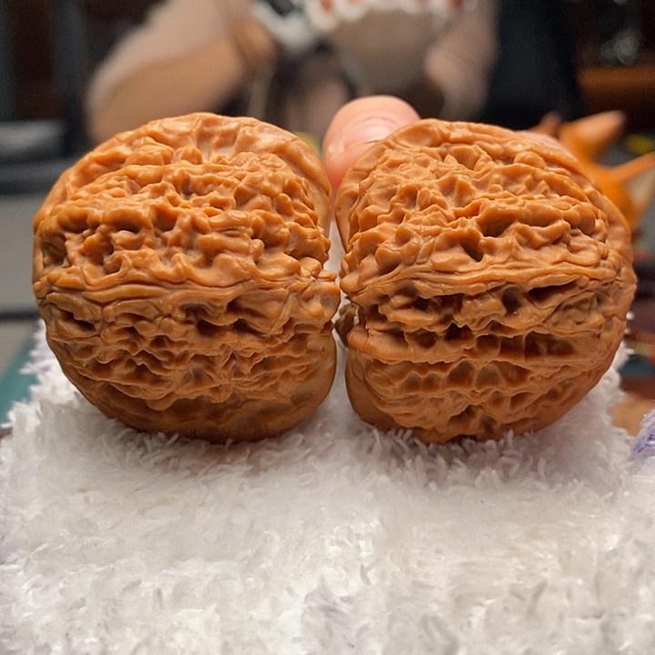 核桃11号 43尺大球疆 全品