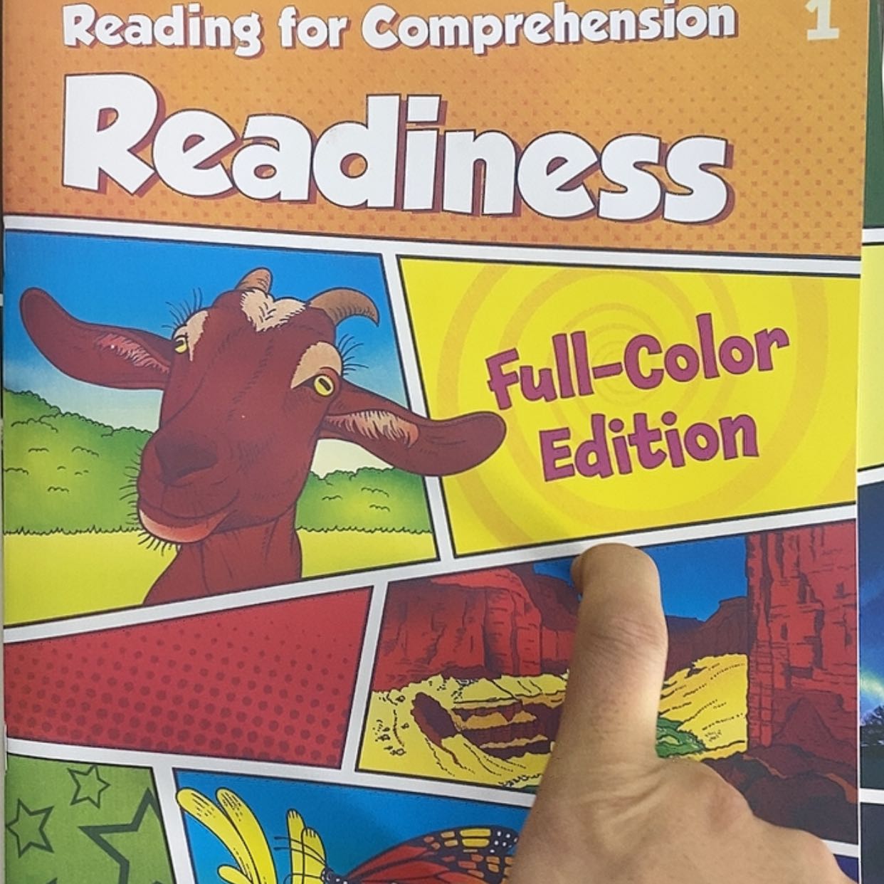 【闪购商品】阅读22本蝌蚪