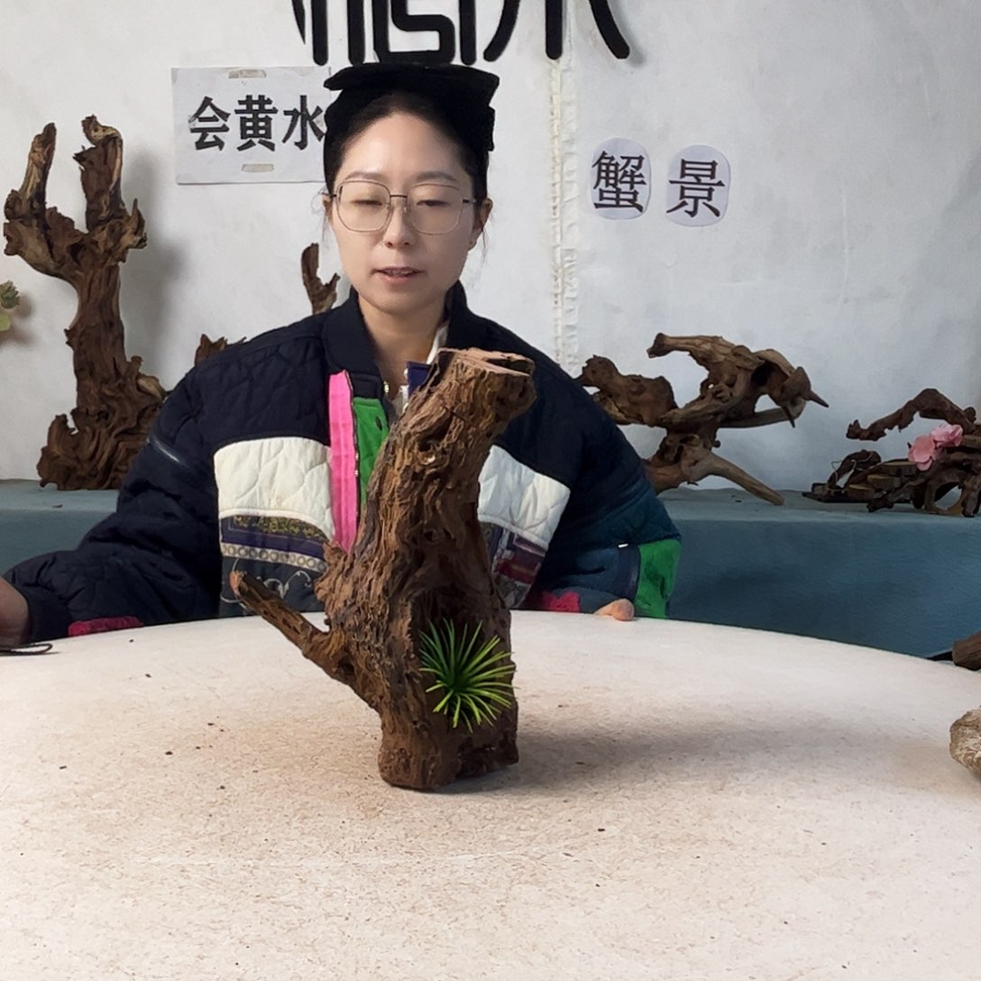 沉木造景爬宠造景