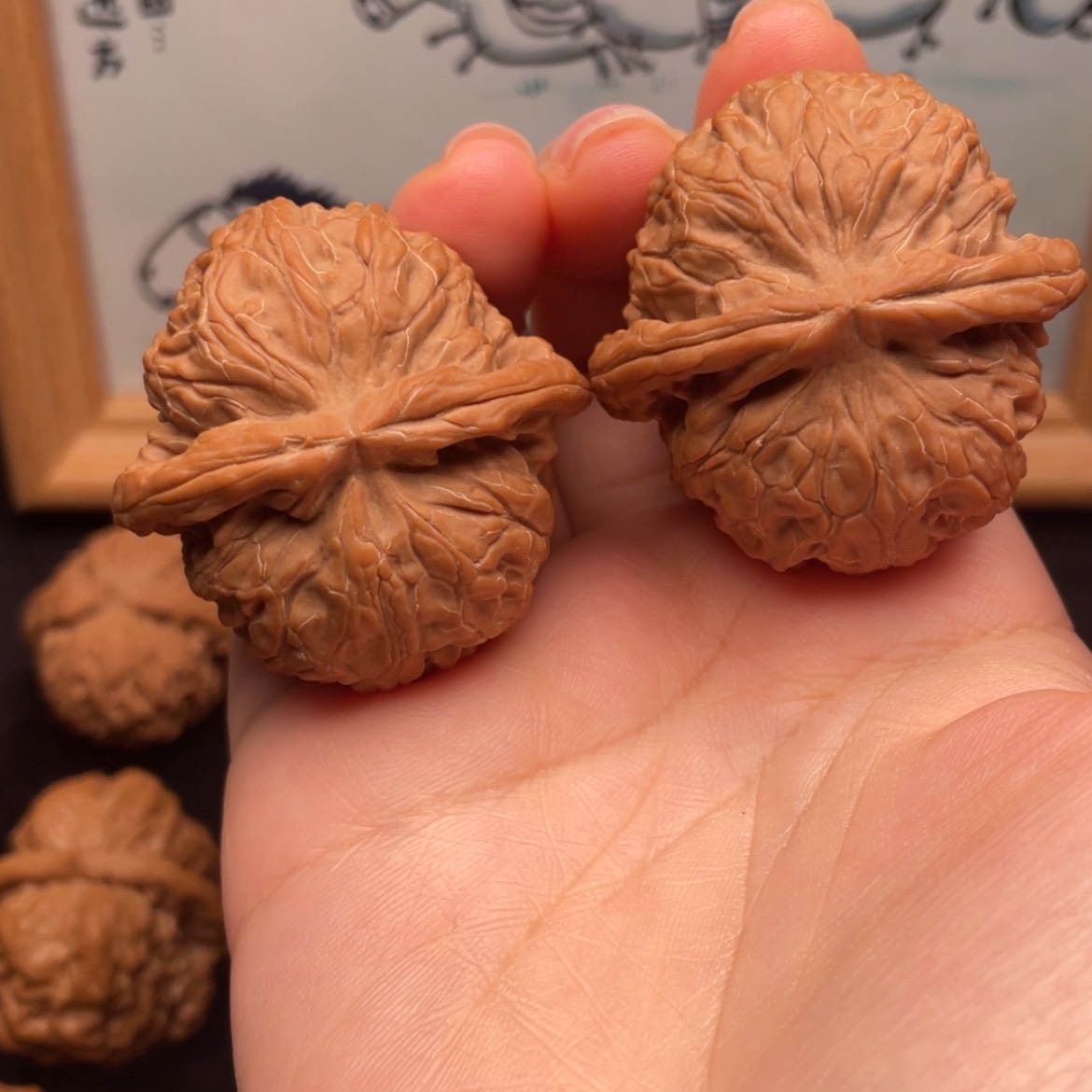 【闪购商品】文玩核桃把件陈*生42全品蓟县元宝