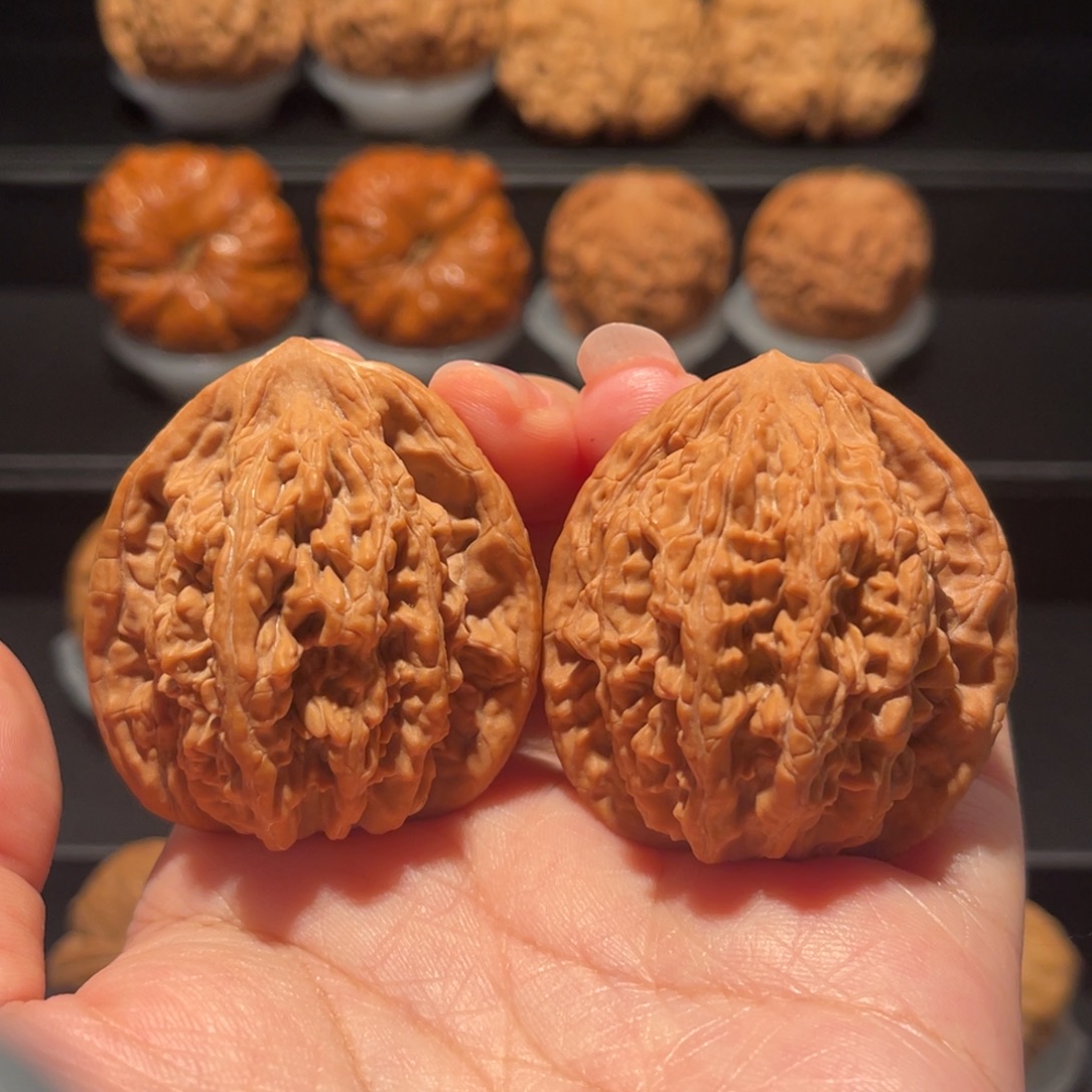 全品，精品，41麦穗虎头206