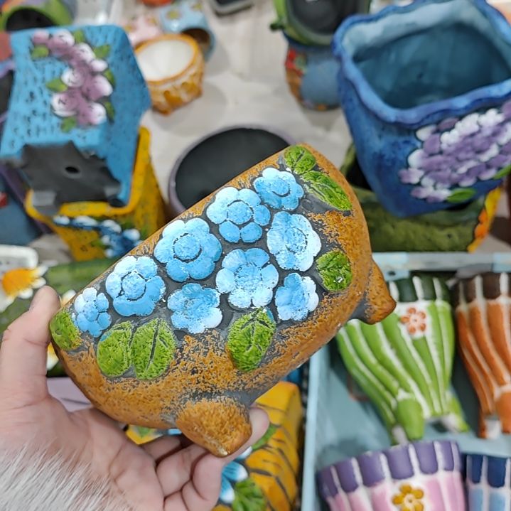 红陶吸水透气的白陶花盆凑满12发货