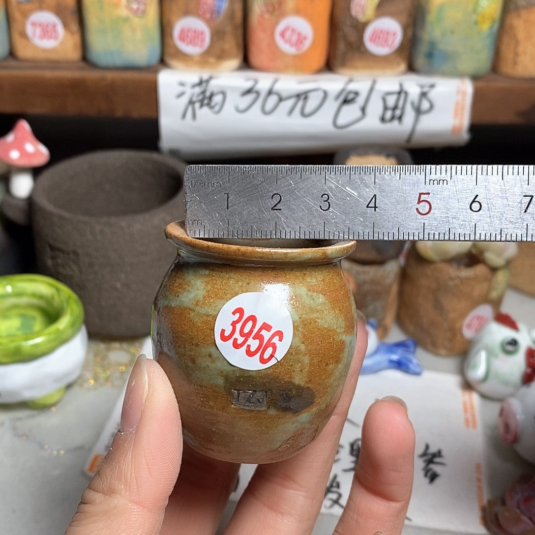 红陶拍5送一个小