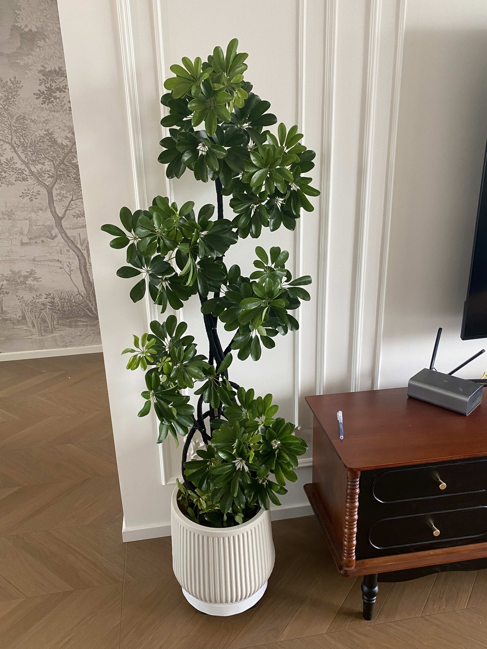 造型鸭脚木盆栽大型绿植客厅办公室内鸭掌木植物四季好养活吸甲醛