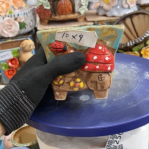 【闪购商品】红陶1