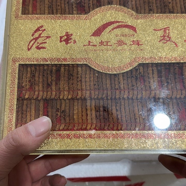 天***️扇子呼呼呼呼呼呼呼呼呼呼呼