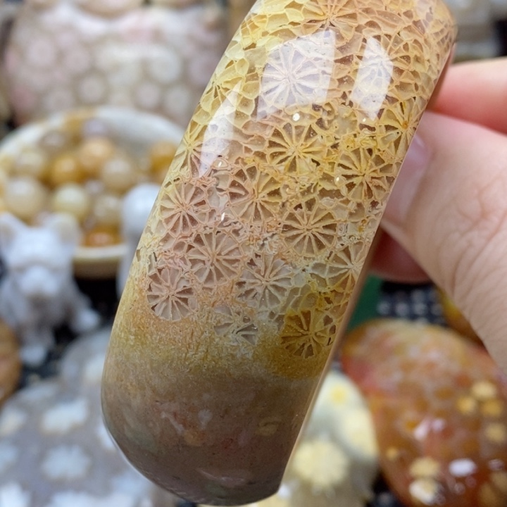 硅化珊瑚（珊瑚玉）颈饰未镶嵌
