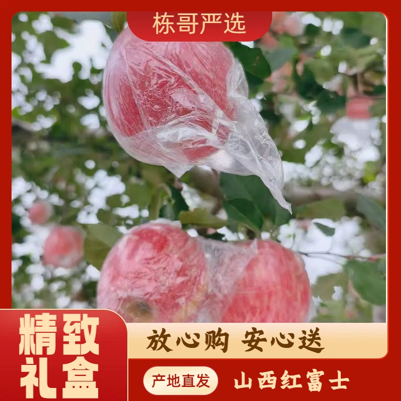【云南广西海南专属】栋哥严选山西运城红富士冰糖心苹果膜袋苹果