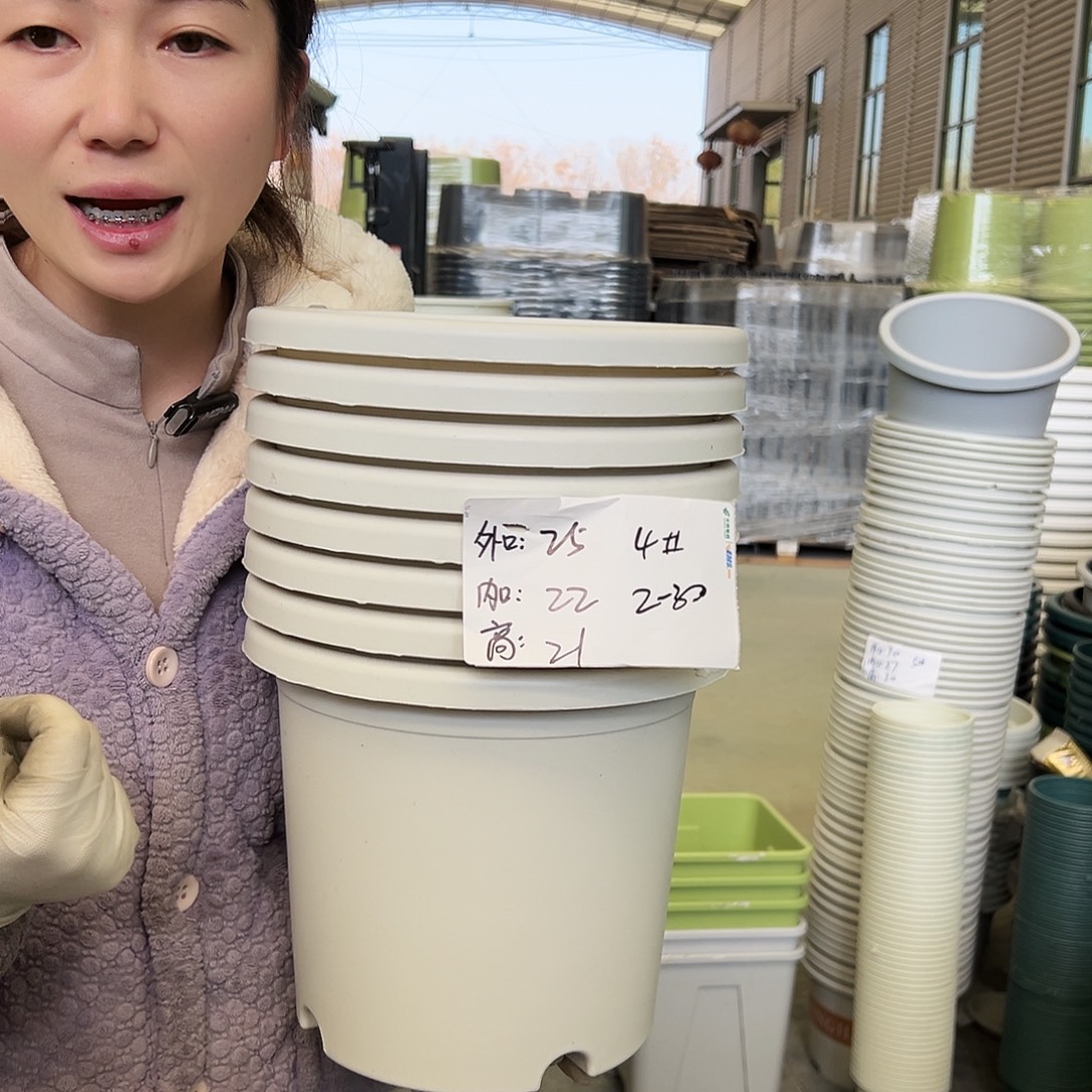 四季盆4#白色8个无托