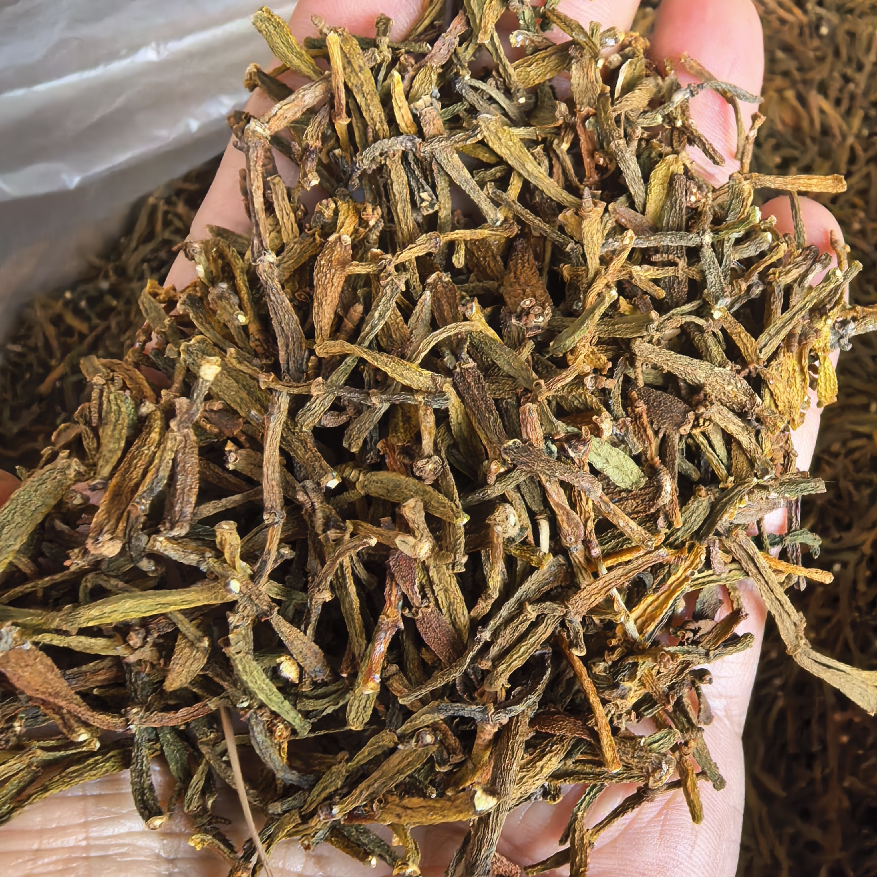 云南景迈山螃蟹脚8年碎料香甜可口