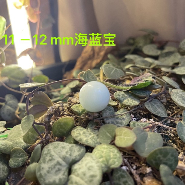 11 －12 m m ／颗天然石，海蓝宝石，手串配珠靠谱店铺