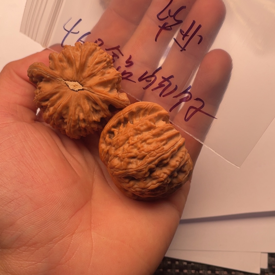 核桃手串/手链0222