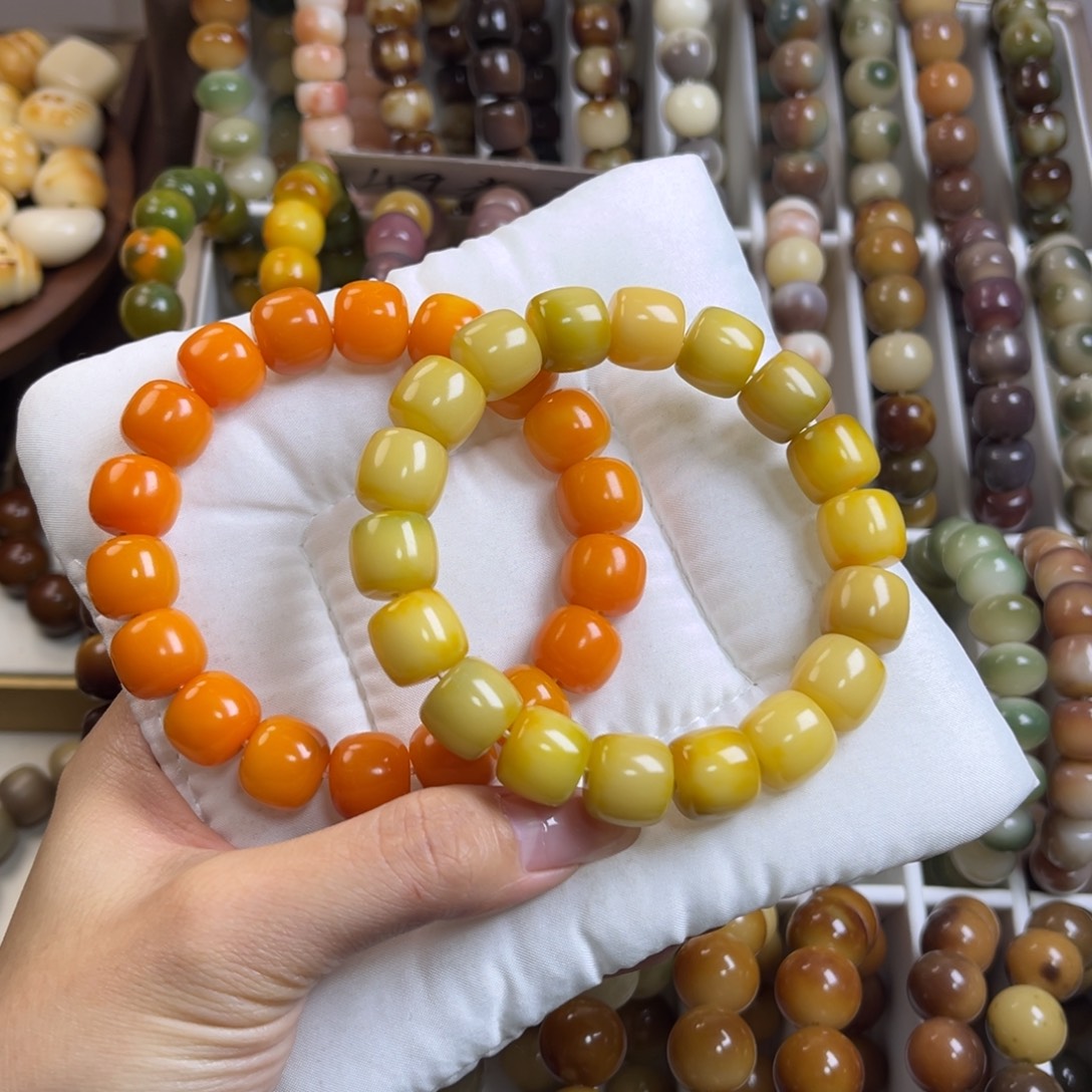 ^***^菩提根/象牙果手串新款