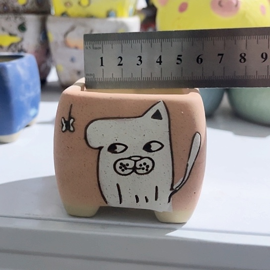 多肉植物花盆花盆