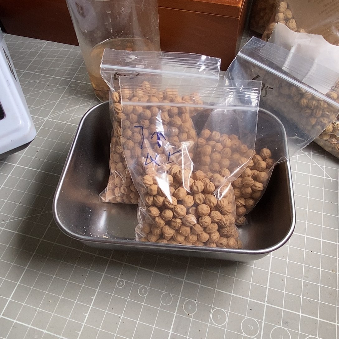 吊坠柏香籽/百香籽