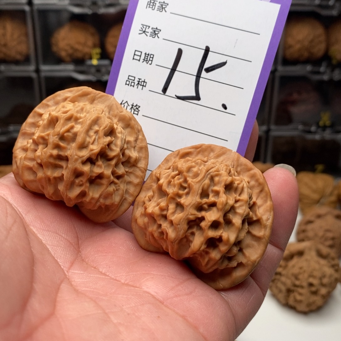 43全品天地圆狮子头