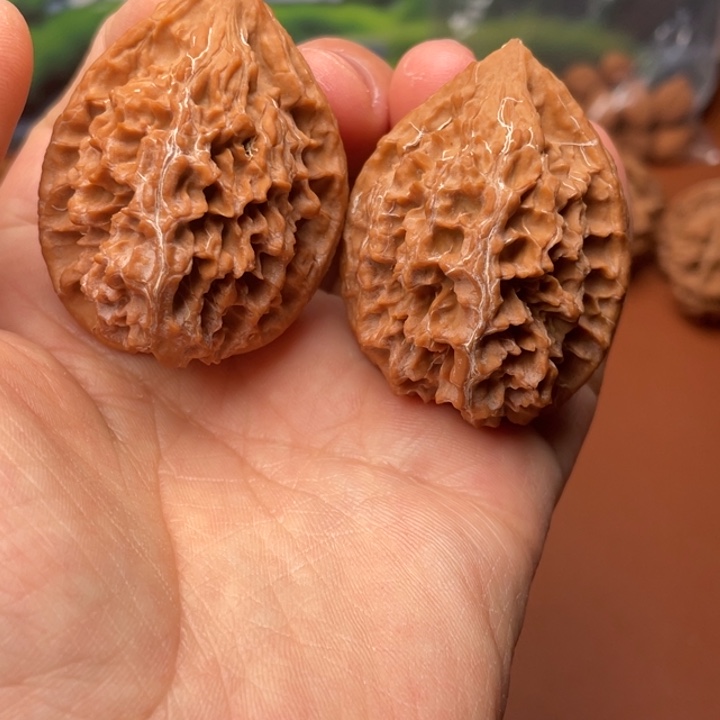 神***龙核桃秦核的电话号码发过来